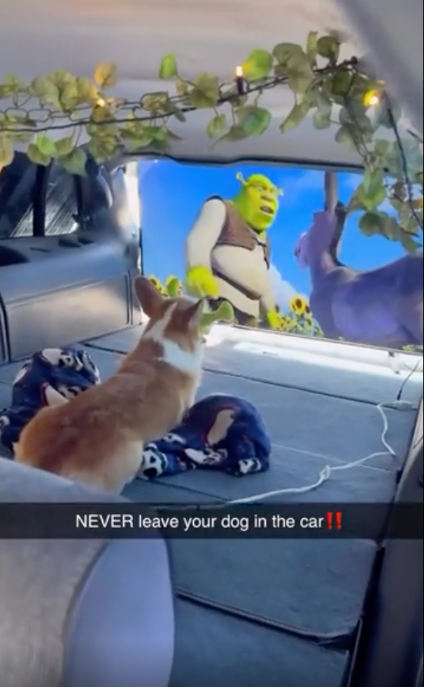 A canine  lies successful  a car   watching a surface  showing Shrek and Donkey. Text warns, "NEVER permission  your canine  successful  the car!"