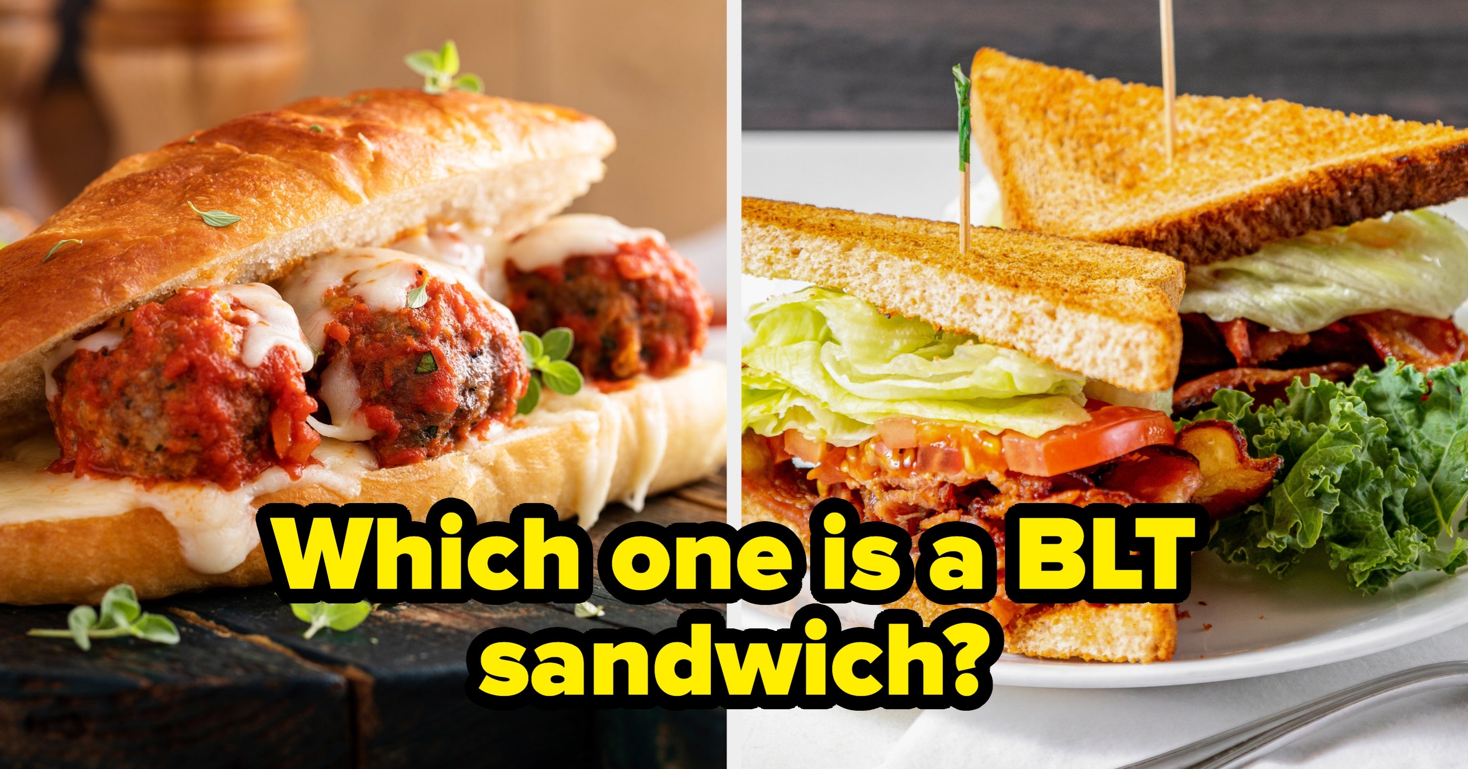 If You Can Identify 84% Of These Sandwiches From A Single Photo, You're Officially A Culinary Genuis