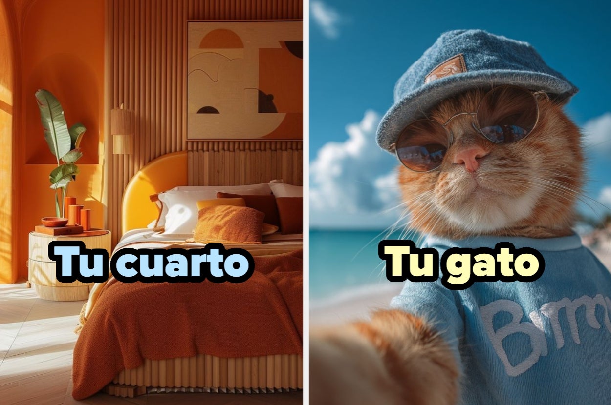 Imagen dividida: a la izquierda, un cuarto ordenado; a la derecha, un gato con sombrero tomando una selfie en la playa. Texto: "Tu cuarto" y "Tu gato"