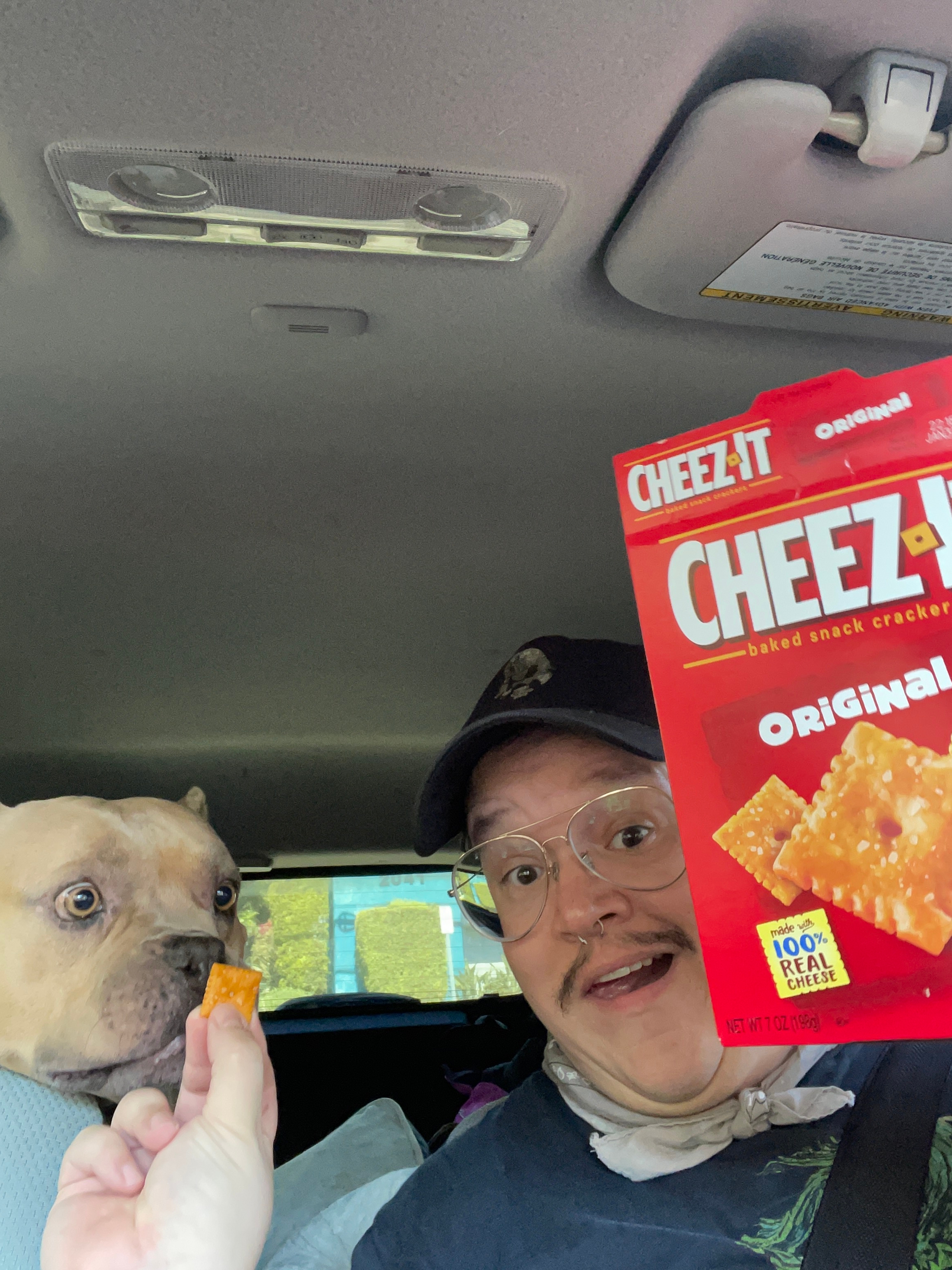 A person in a car holds a Cheez-It box and offers a cracker to a curious dog sitting beside them