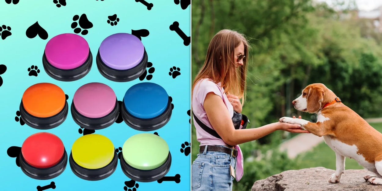 How to Train Dog to Use Buttons: Easy Steps for Smart Communication