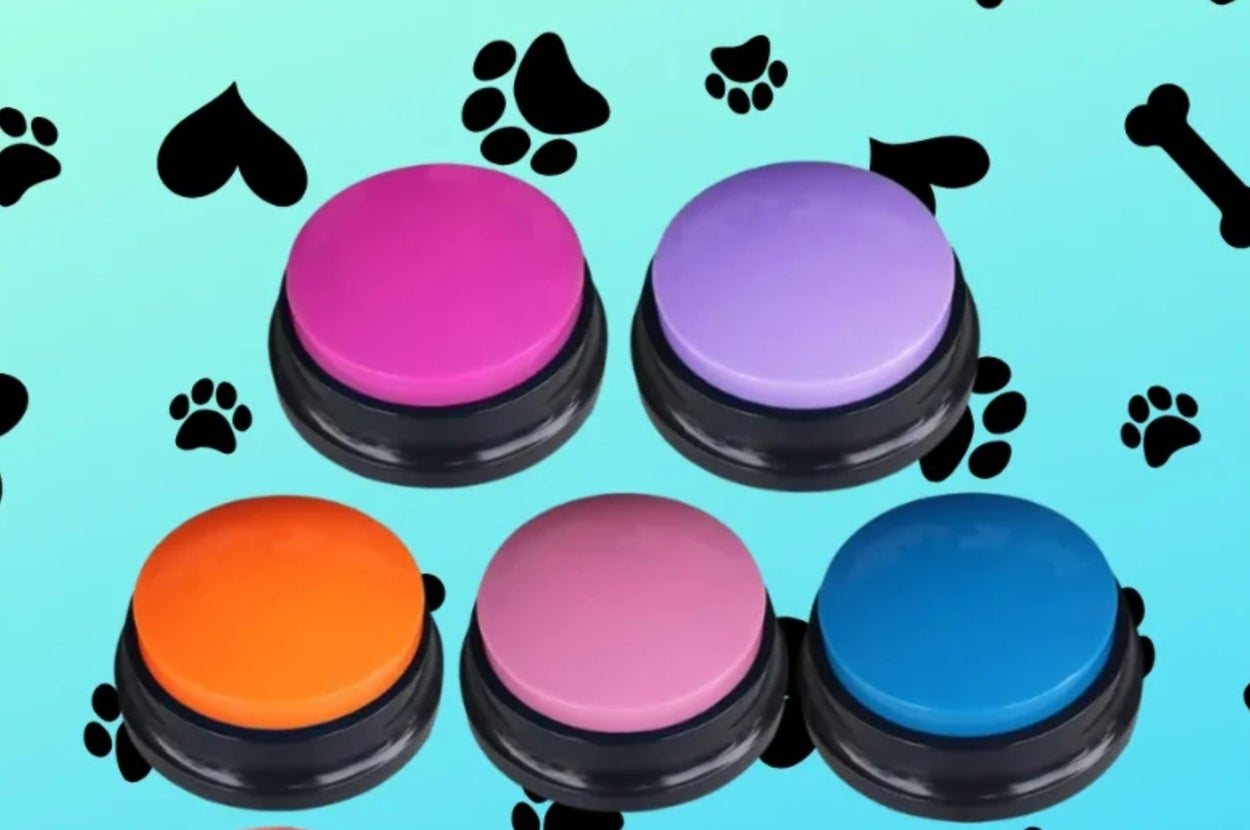 Colorful pet communication buttons on left; woman and dog interaction on right. Ideal for teaching pets simple commands and enhancing their communication