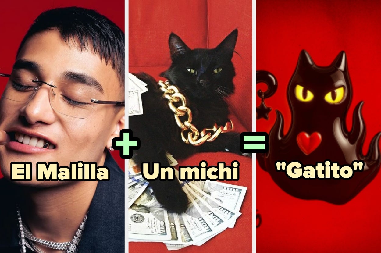 Foto dividida: persona posando, gato con collar dorado y dinero, símbolo de gato negro con ojos amarillos y corazón rojo. Texto: El Malilla + Un michi = "Gatito"