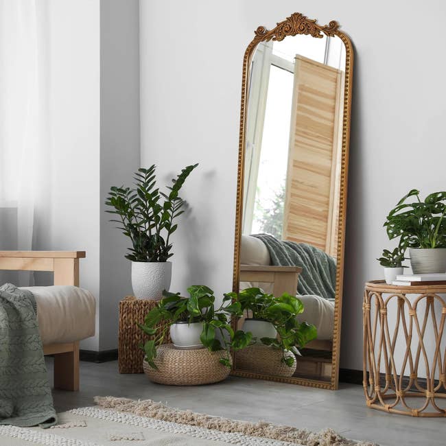 Bedroom with ample ornate mirror, indoor plants, and wicker furniture, creating a cozy and earthy ambiance