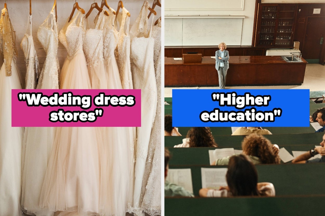 Split image: Left shows wedding dresses; right shows a professor in a lecture hall. Text reads "Wedding dress stores" and "Higher education."