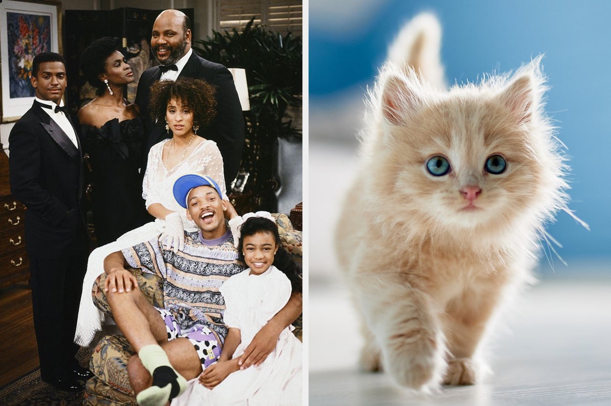 Pick Some Adorable Animals And We'll Tell You Which TV Sitcom Family You Truly Belong In