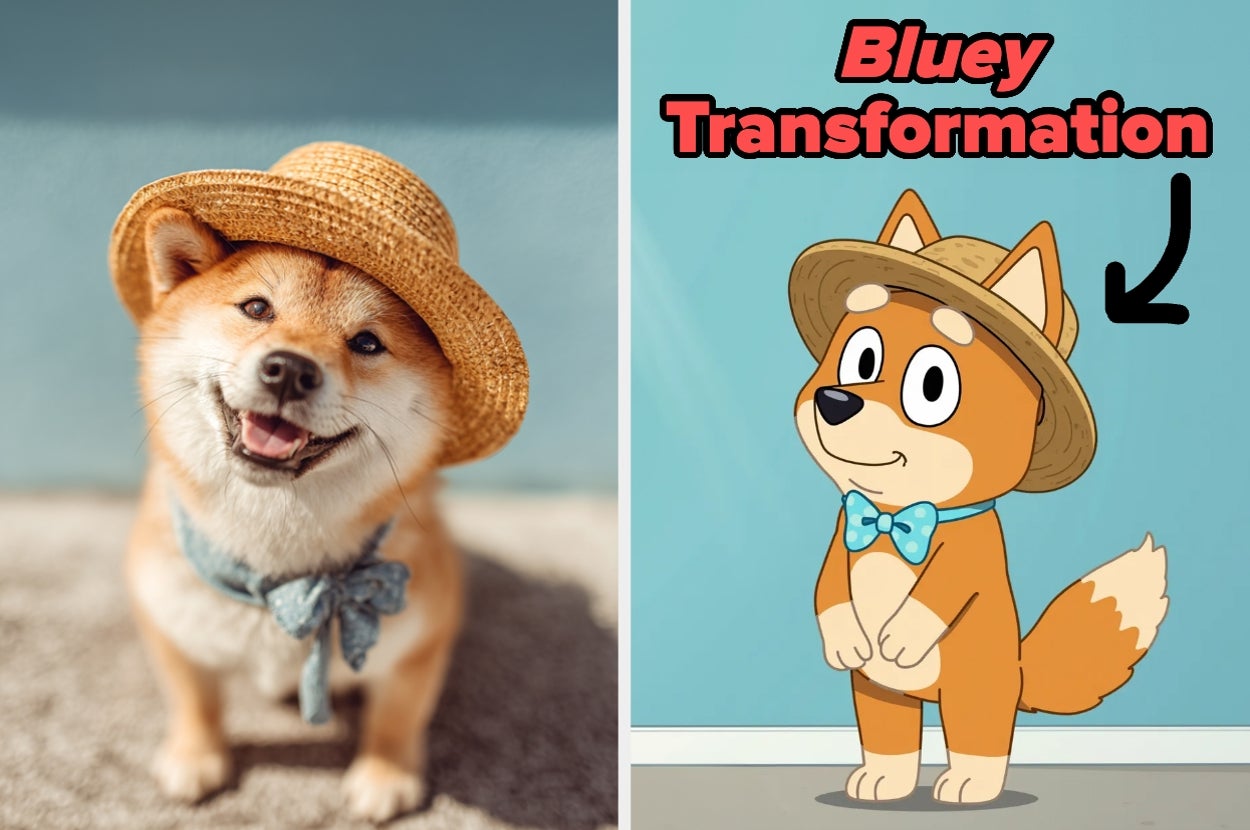 People Are Turning Their Pets Into "Bluey" Characters With This Generator And The Results Are WAYYY Too Cute