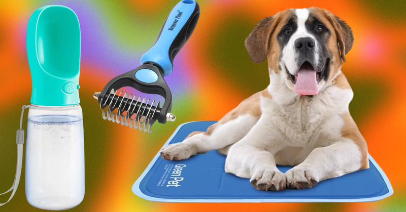 Excessive Heat Can Be Dangerous To Pets, So Keep Them Cool With These 14 Products