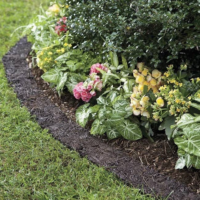 Variety of plot flowers and greenish plants neatly arranged on a curved mulch borderline adjacent to a lawn