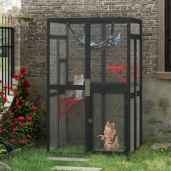 Two cats sit in a large outdoor cat enclosure with raised platforms, surrounded by flowers and a brick wall