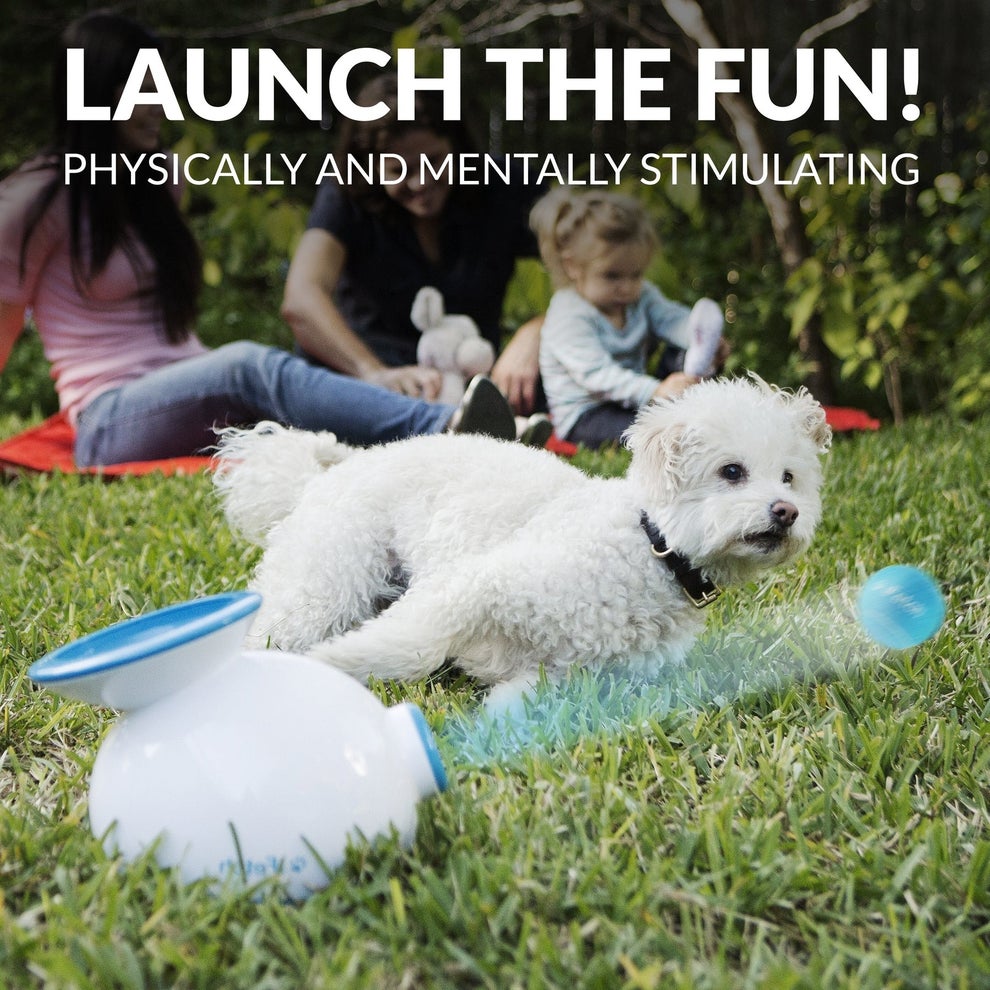 Dog playing fetch with automatic ball launcher, with family sitting on grass. Text: "Launch the Fun! Physically and Mentally Stimulating."