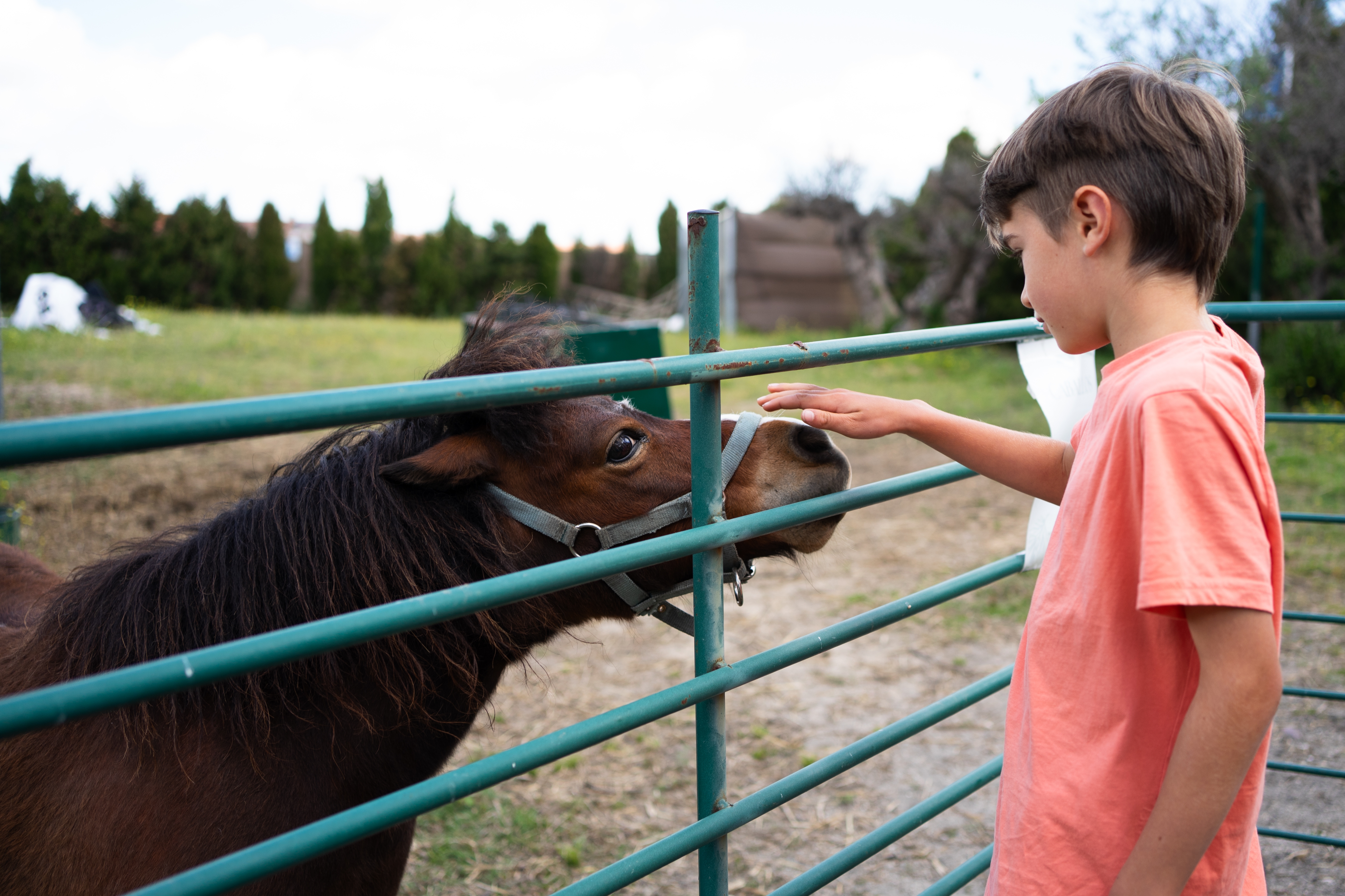 En gutt i en t-skjorte kjæledyr forsiktig en ponni over en metallport i en gårdsmiljø