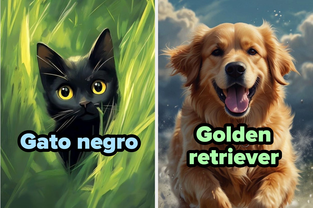 Dos imágenes comparan personalidades: "gato" con delicados tacones, "perro" con botas peludas