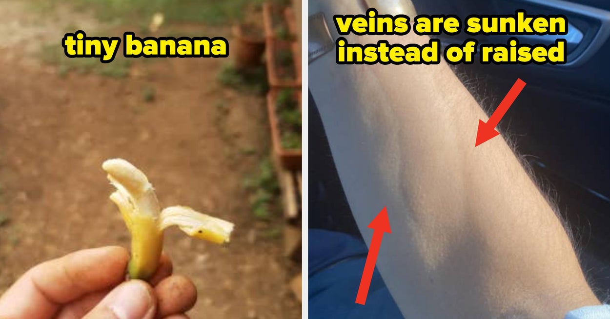 22 Incredibly Rare Photos That'll Completely Change Your Perception Of The Entire World
