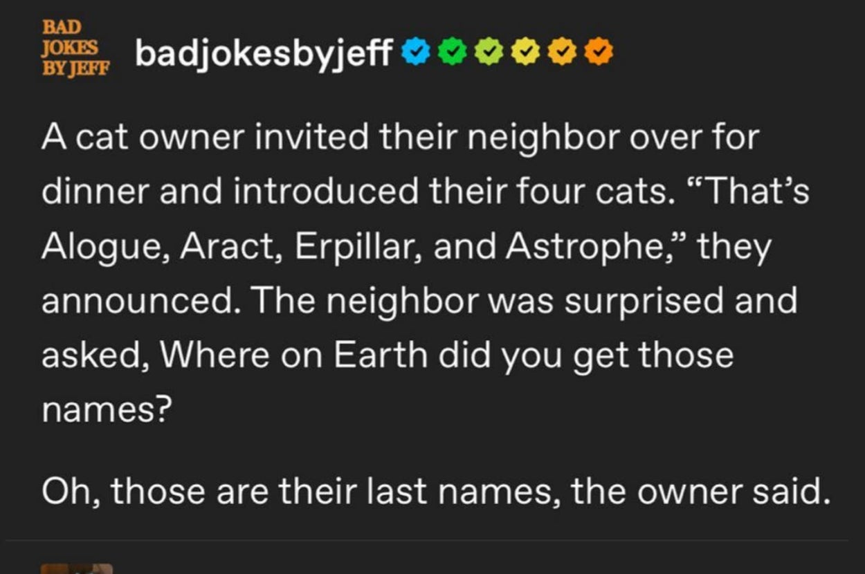 A cat owner names their pets Alogue, Aract, Erpillar, Astrophe. The joke reveals these are the cats' last names