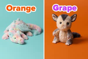 Two plush toys: a multicolored dragon labeled "Orange" and a sugar glider labeled "Grape," each on different colored backgrounds