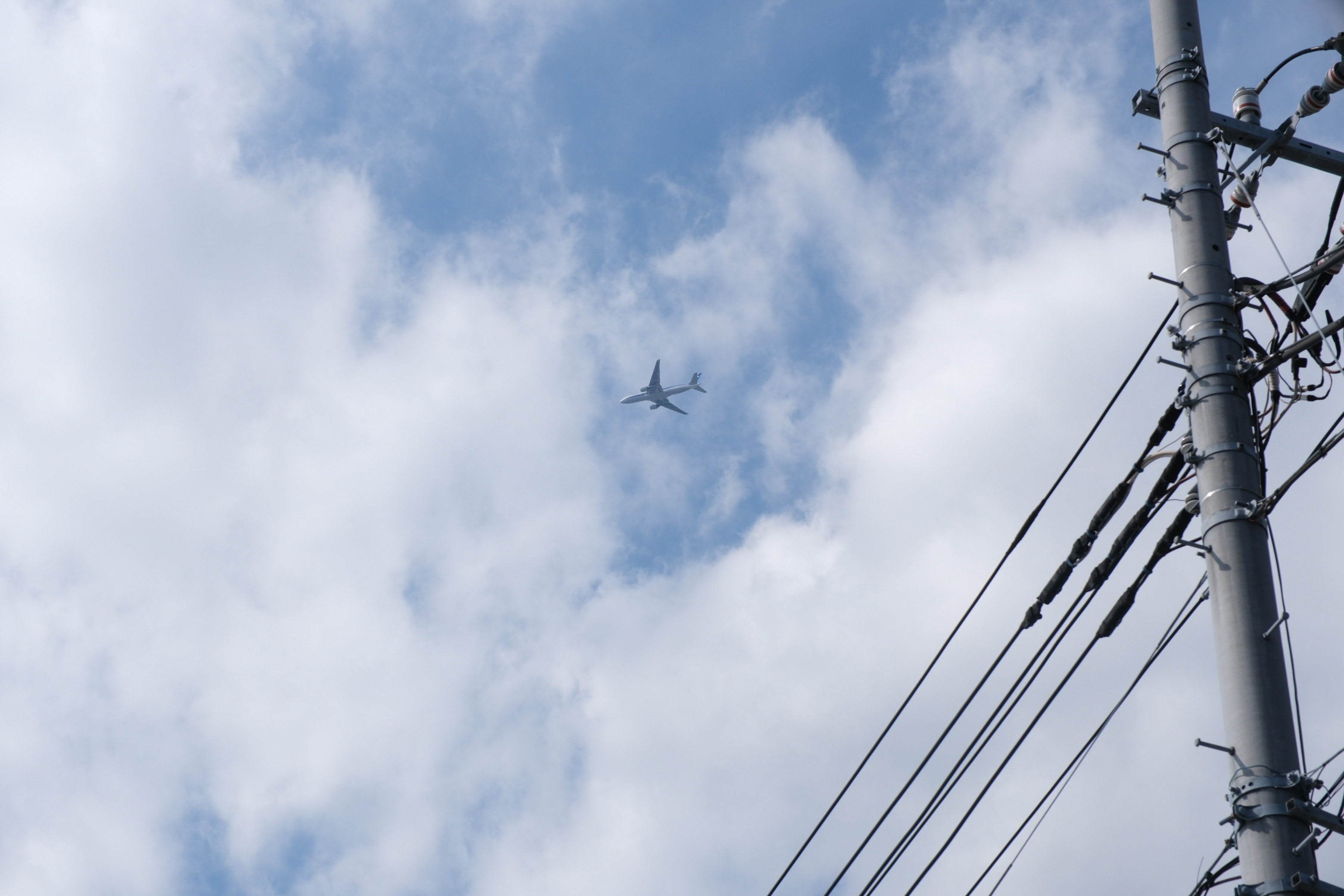 足立区の上空を飛ぶ旅客機(2025年8月14日撮影)BuzzFeed Japan