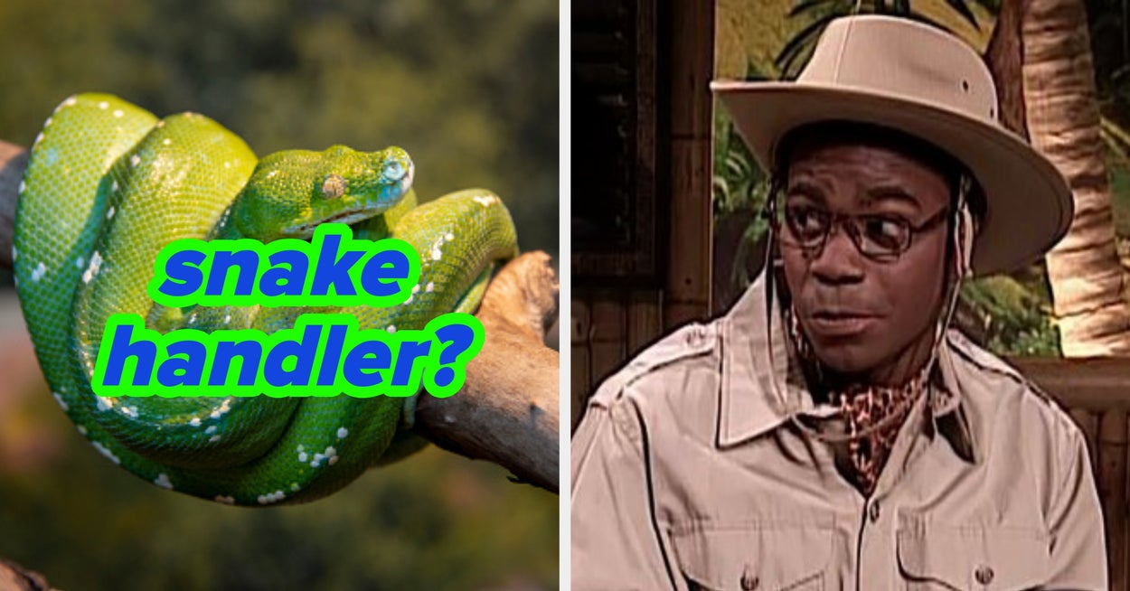 Which Zoo Career Is Meant For You?