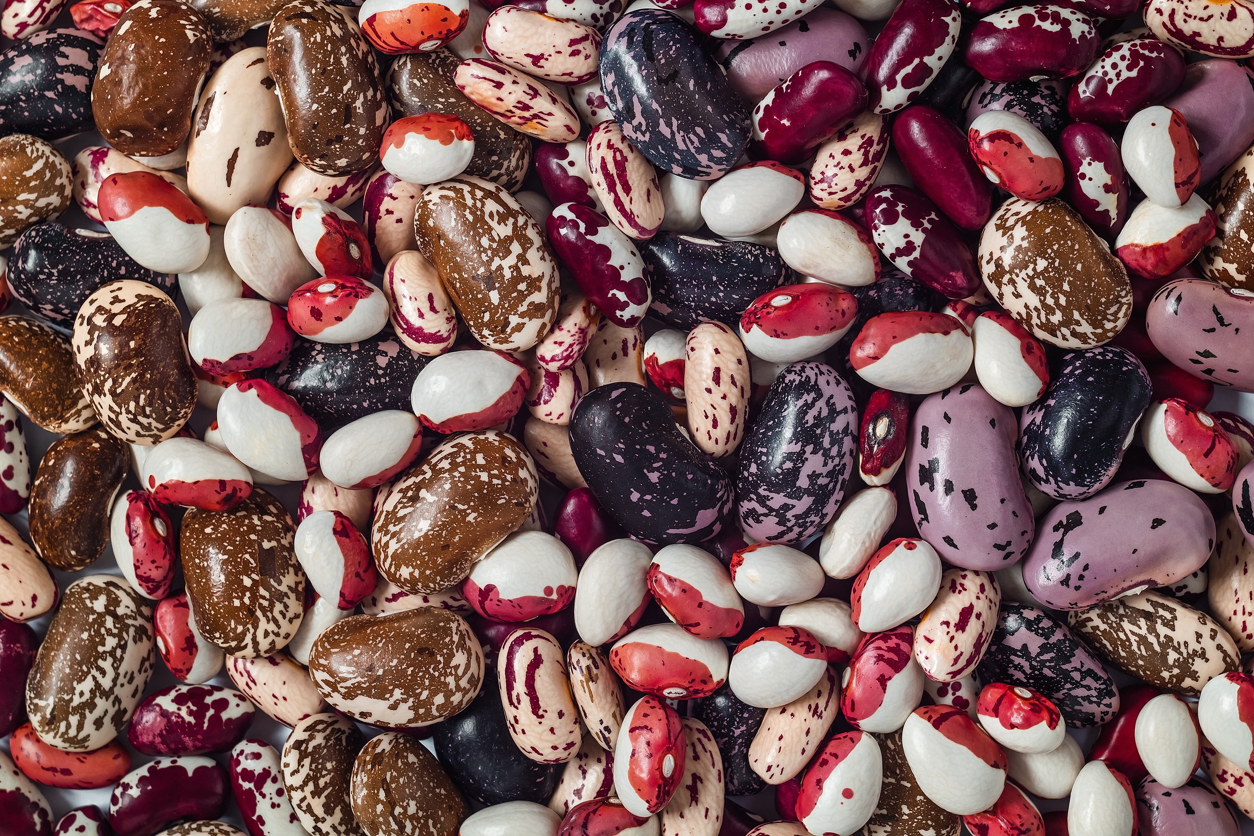 Various types of beans are scattered closely together, showcasing different patterns and shades