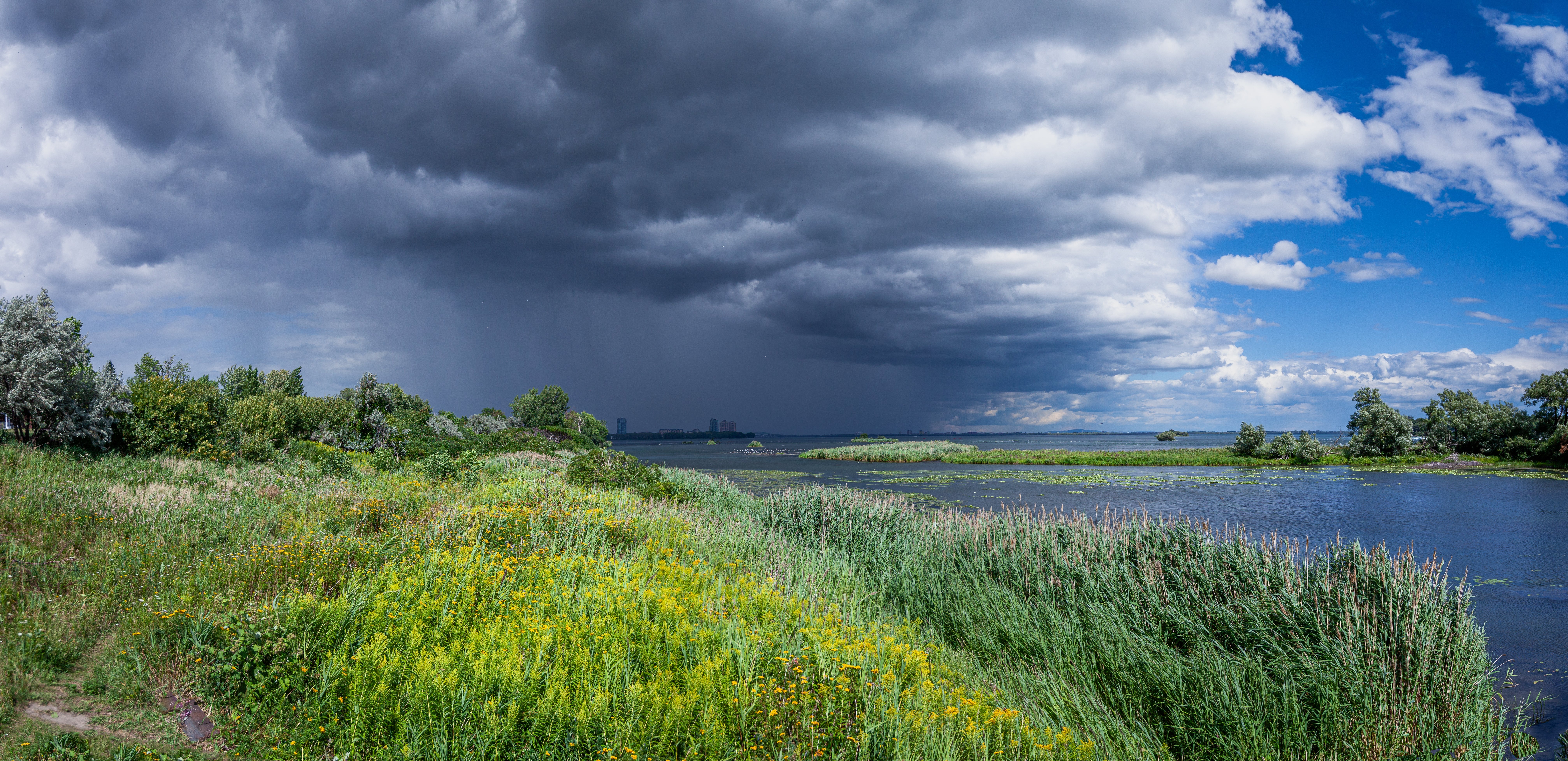 Skyer bygger over en frodig elvebredde og signaliserer en nærmer storm. Gress og villblomster svinger forsiktig i brisen