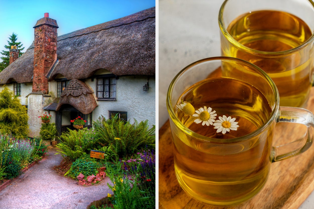 Cottage with thatched roof, surrounded by a garden. Two glass mugs of chamomile tea with flowers on the surface