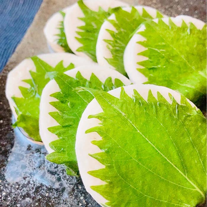 薄切りの大根に青じそをのせた料理が皿に並べられている。