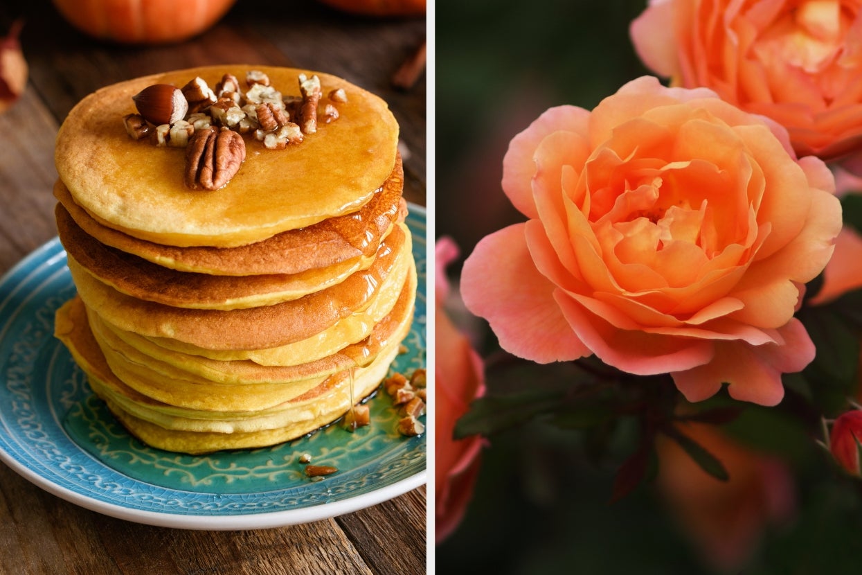 Stack of pancakes with syrup and pecans on a plate next to an orange rose