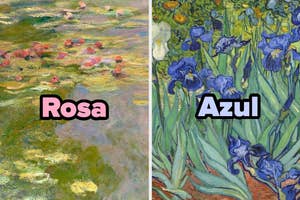 Left: Water lilies by Monet. Right: Irises by Van Gogh. Text labels: "Rosa" on the left, "Azul" on the right