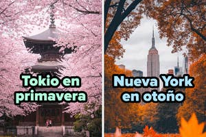 Montaje de Tokio con cerezos en flor y Nueva York con hojas de otoño, cada ciudad con su estación característica