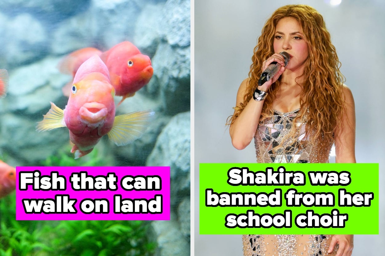 53 Of The Most Random Facts I've Ever Heard In My 35 Years Of Life On This Earth