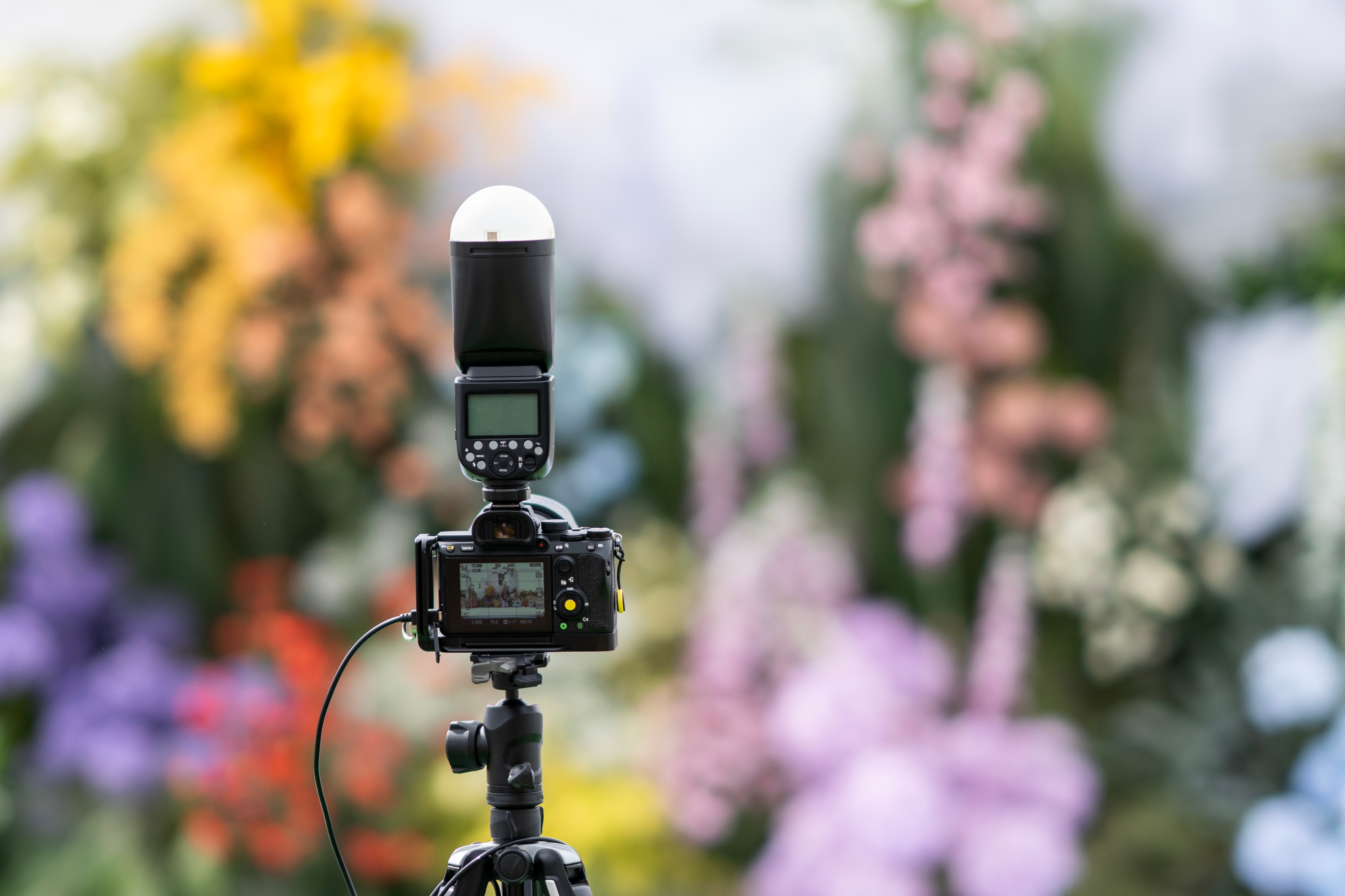 Camera on tripod facing blurred floral background, ready for a photoshoot