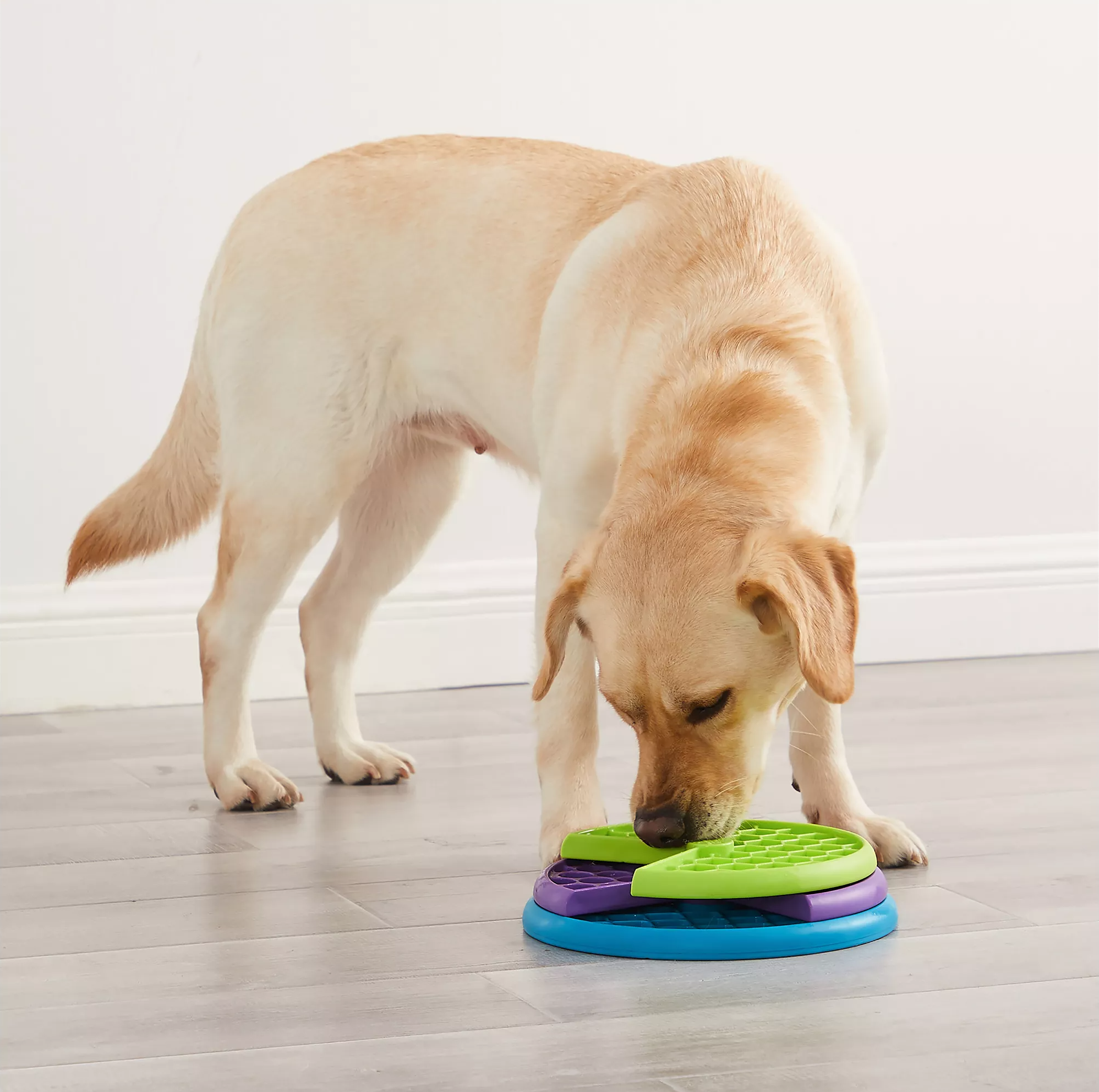 27 Must-Have PetSmart Items For Budget-Conscious Owners