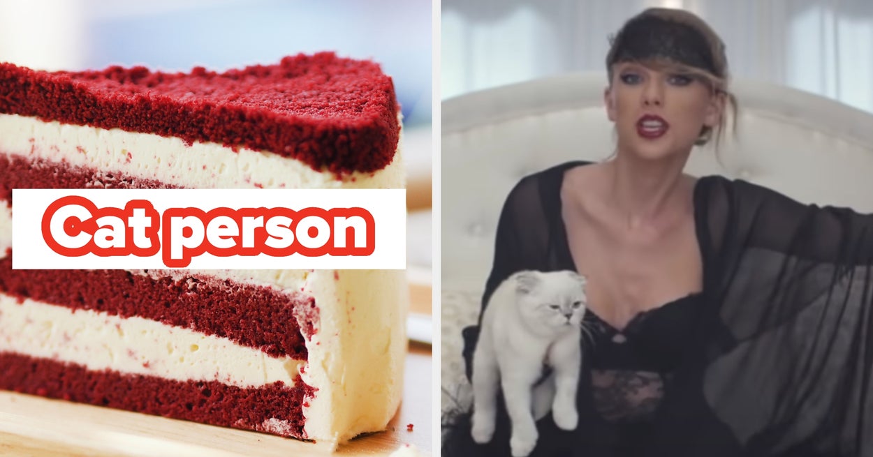 Your Cake Preferences Will Reveal If You're Actually A Dog Or Cat Person