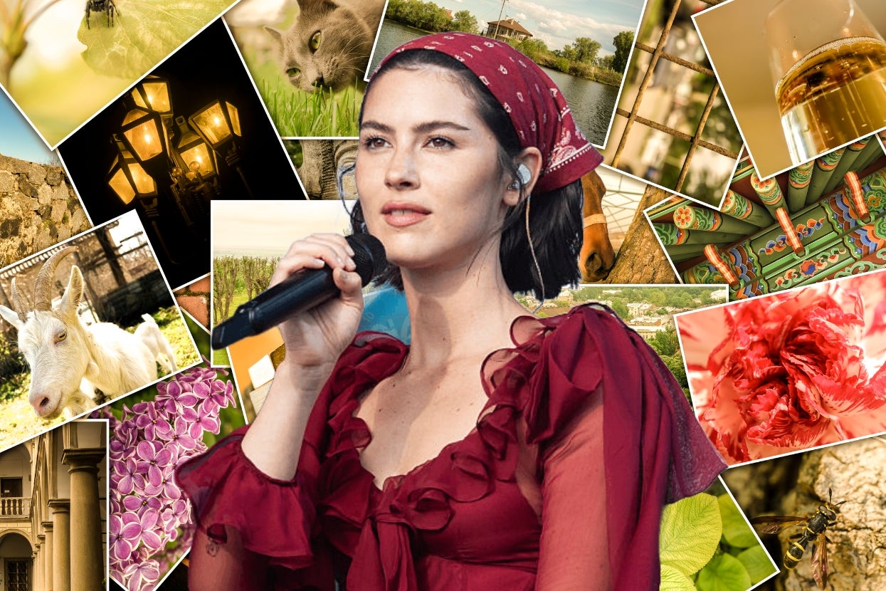 Gracie Abrams singing in ruffled dress with a headscarf, surrounded by a collage of nature, architecture, and animals