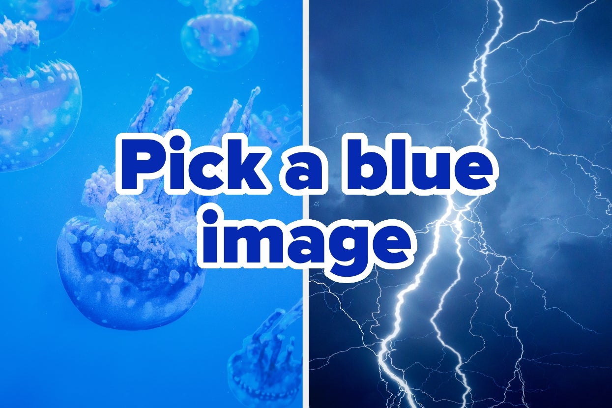 Split image: left side shows floating jellyfish, right side shows lightning in the sky. Text reads, "Pick a blue image."