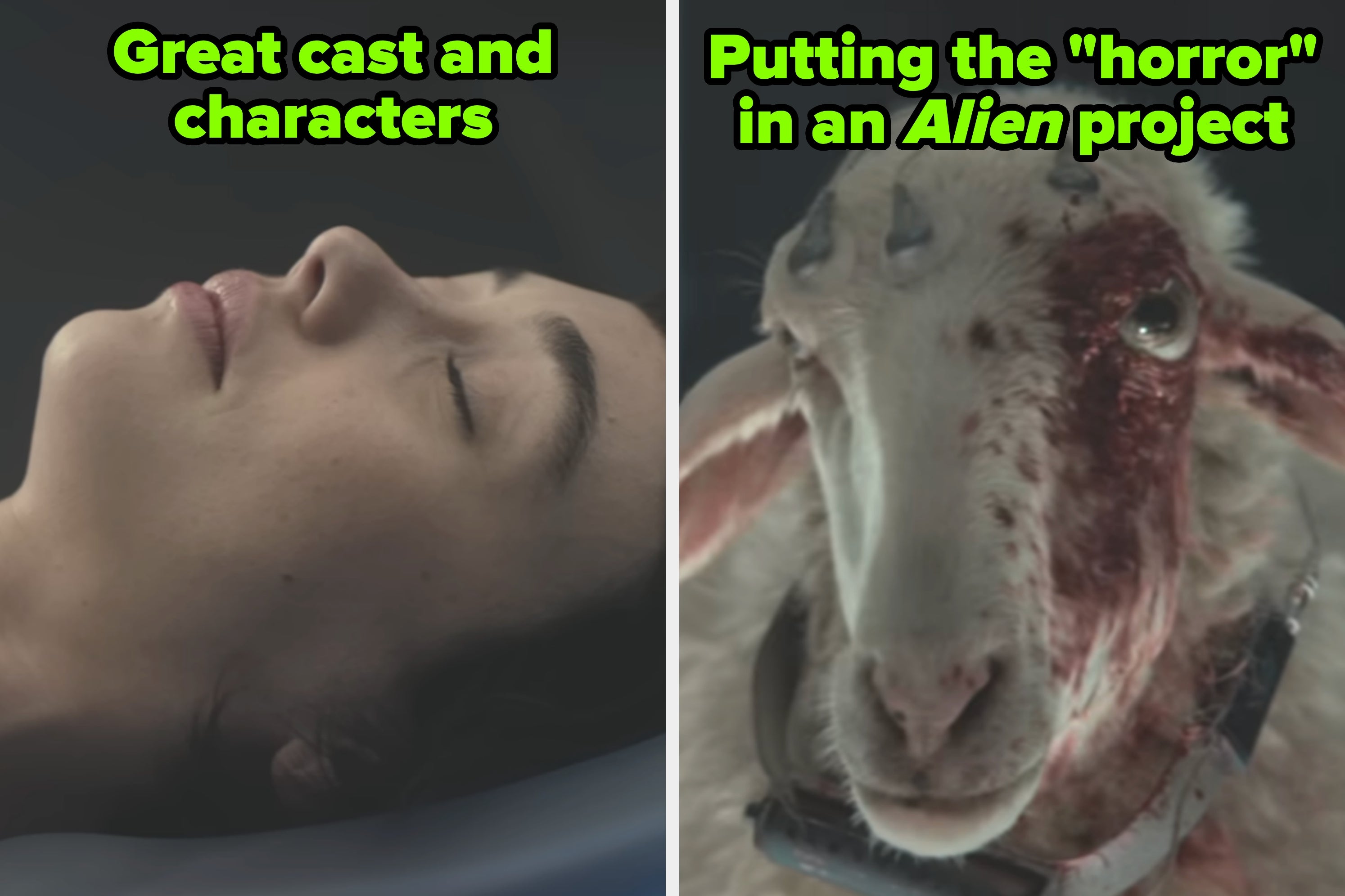 Split image: person lying down with eyes closed; sheep with marks on head, suggesting a dramatic or sci-fi scene