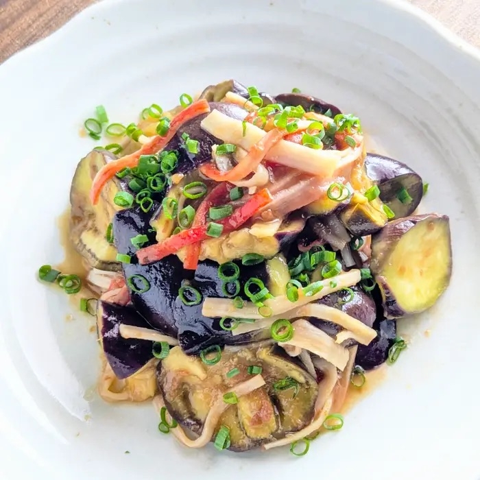 なすと細切り野菜の料理が白い皿に盛られている。小ねぎが散らされている。