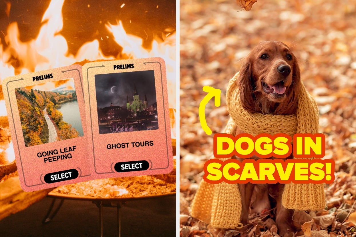 Two travel-themed cards titled "Going Leaf Peeping" and "Ghost Tours" beside a dog in a scarf with the text "Dogs in Scarves!"