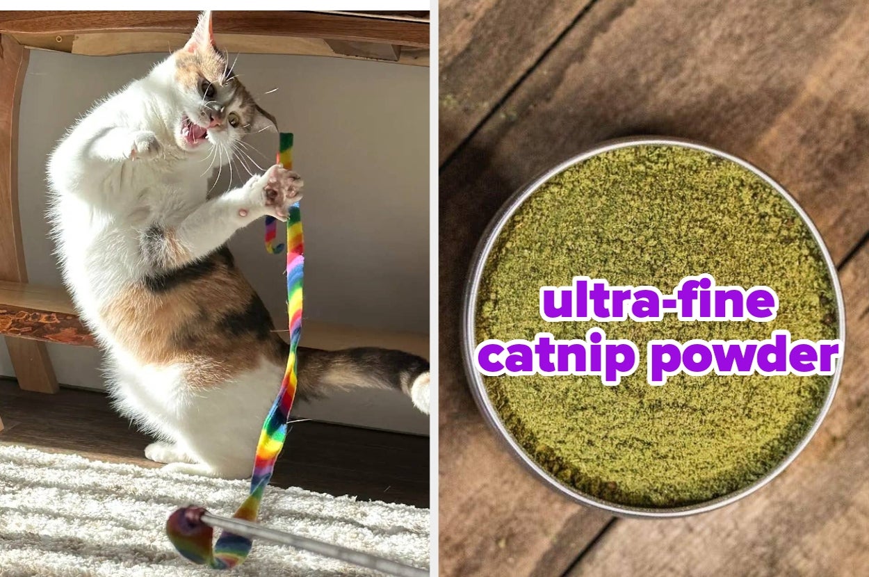 Cat enthusiastically plays with ribbon toy; text promotes ultra-fine catnip powder in shopping article