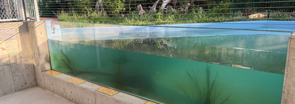 注意書きが掲示されているカピバラ水槽/竹島水族館(@takesuiaquarium)のXアカウントより