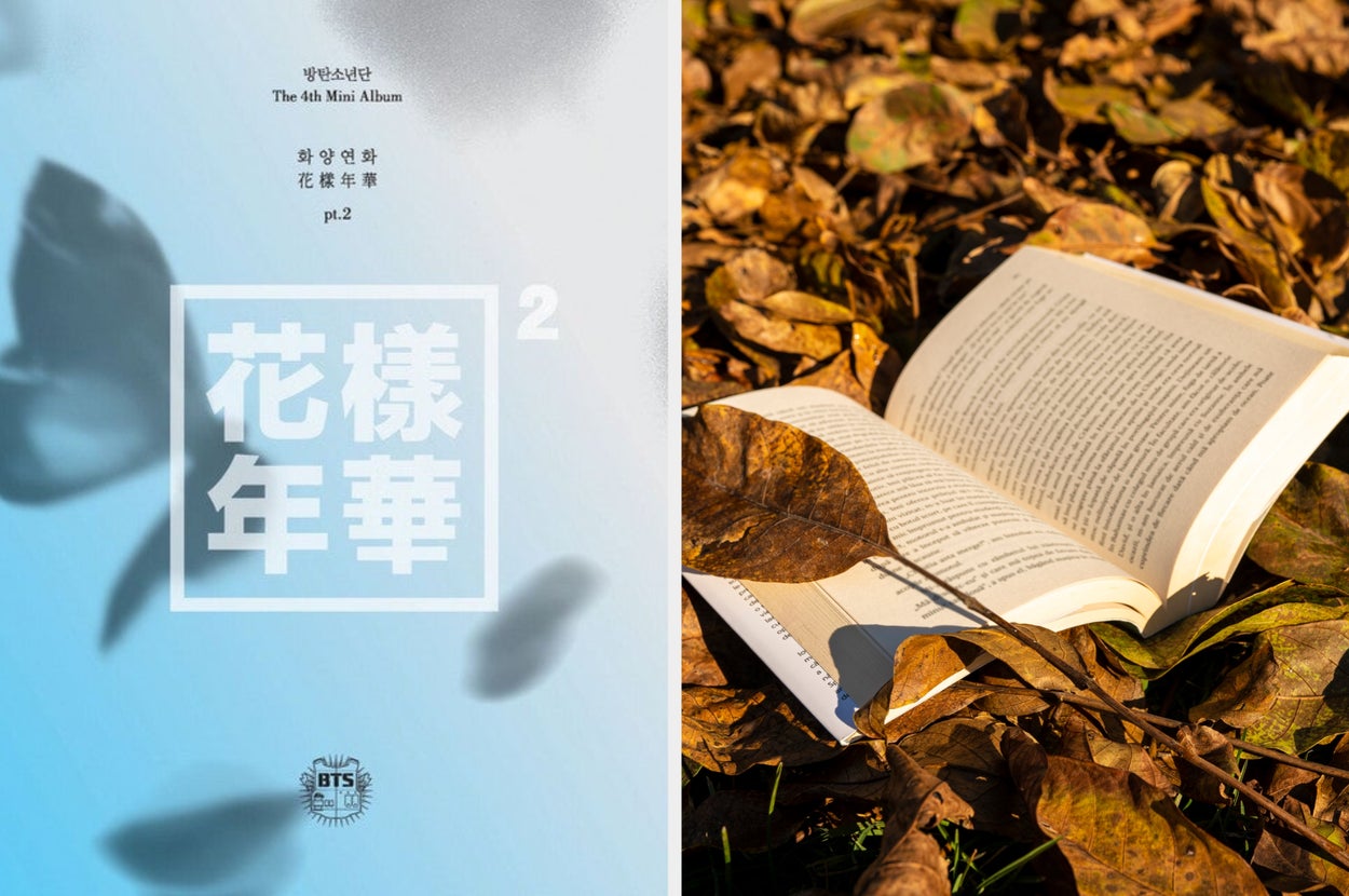 Pick Some Autumnal Images And I’ll Give You A Fall K-Pop Song To Listen To