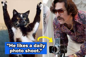 Cat with paws up next to text: "He likes a daily photo shoot." Yellow arrow points to phone in the background