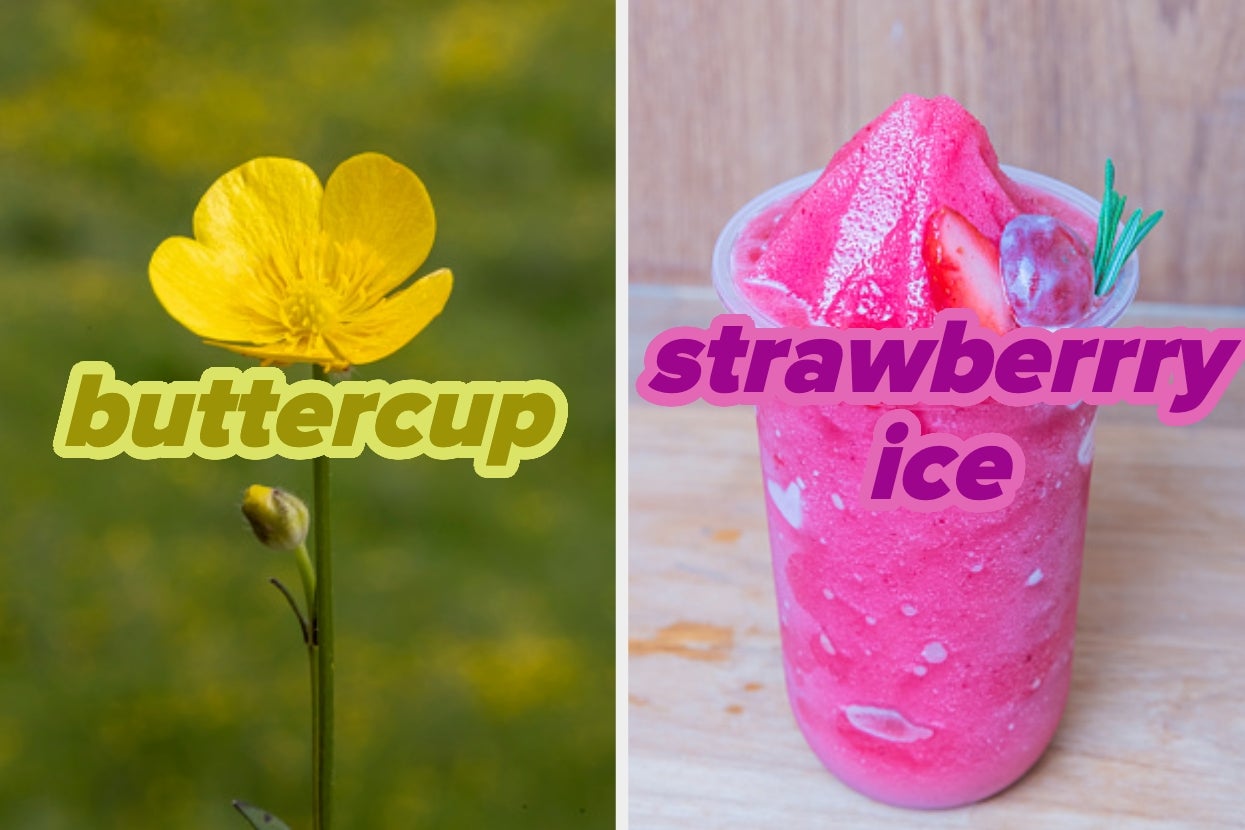 A buttercup flower on the left, labeled "buttercup," and a pink frozen drink with strawberry slices on the right, labeled "strawberry ice."