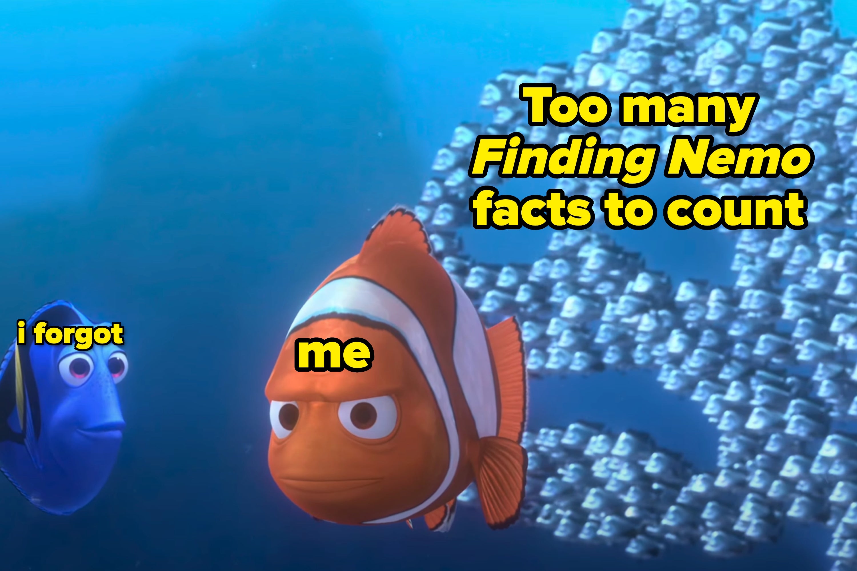Animated clownfish and blue tang converse as fish form shapes in the background