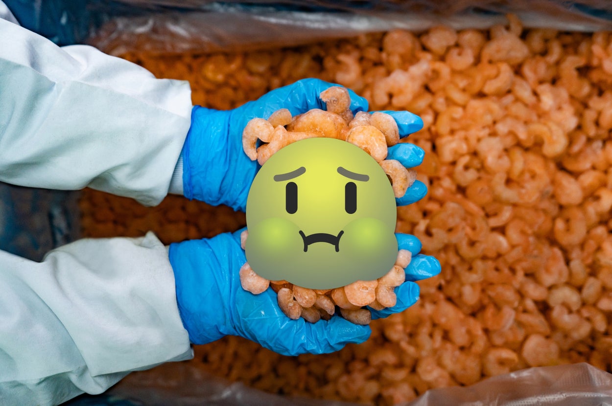 Hands in blue gloves holding a pile of shrimp, with more shrimp visible in the background