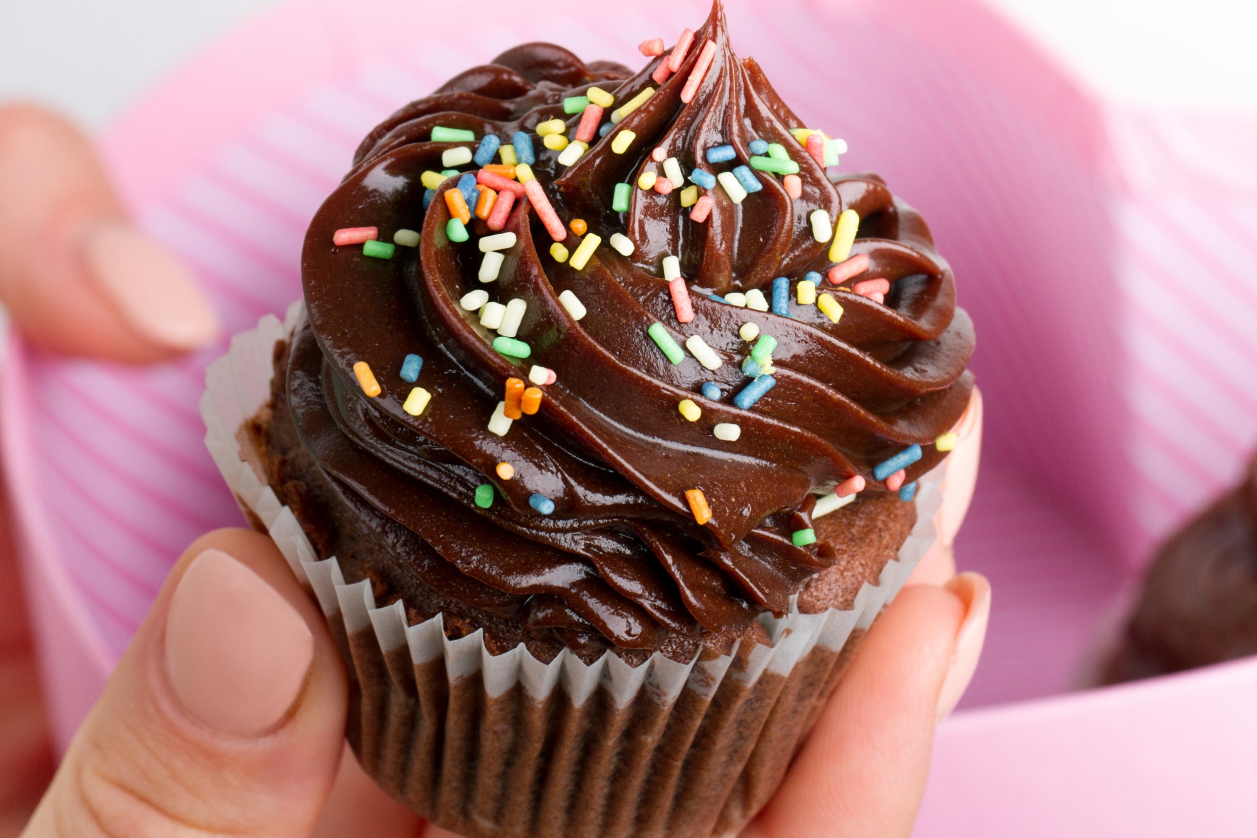 A chocolate cupcake with chocolate frosting and colorful sprinkles is held in a hand