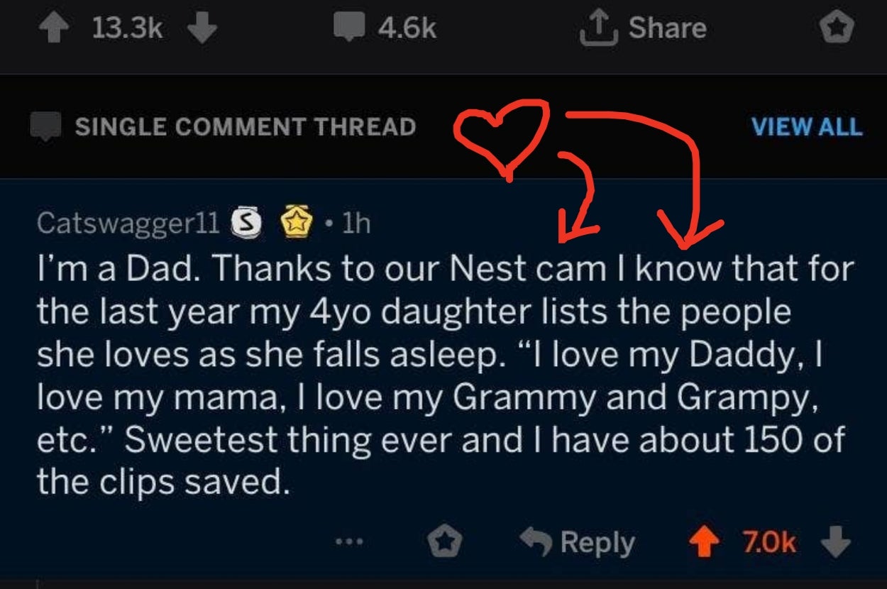 A Reddit comment shares a dad's story of his 4-year-old daughter listing loved ones before sleeping, captured on Nest cam