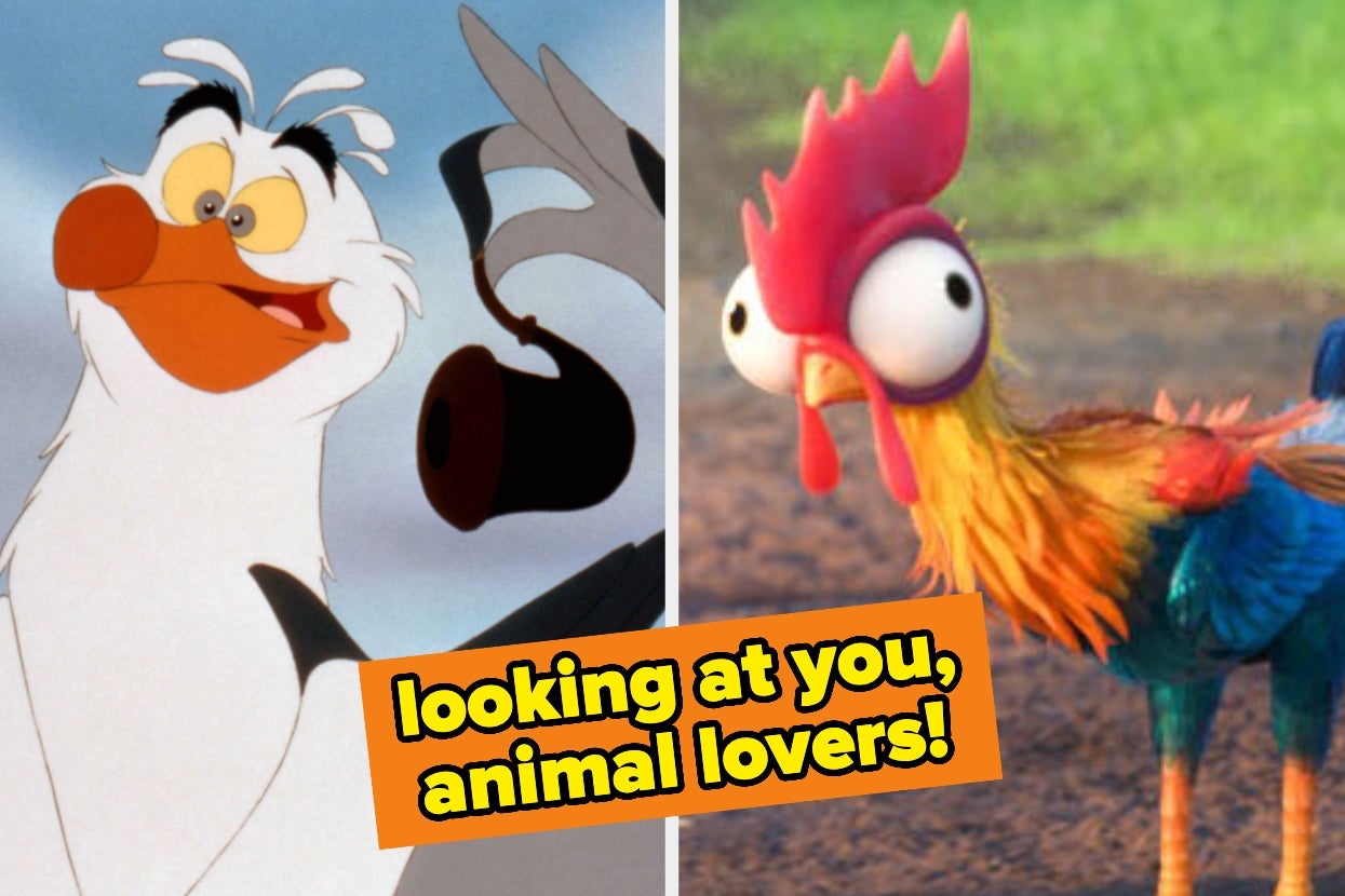 Split image of Scuttle and Hei Hei. Text: "looking at you, animal lovers!"