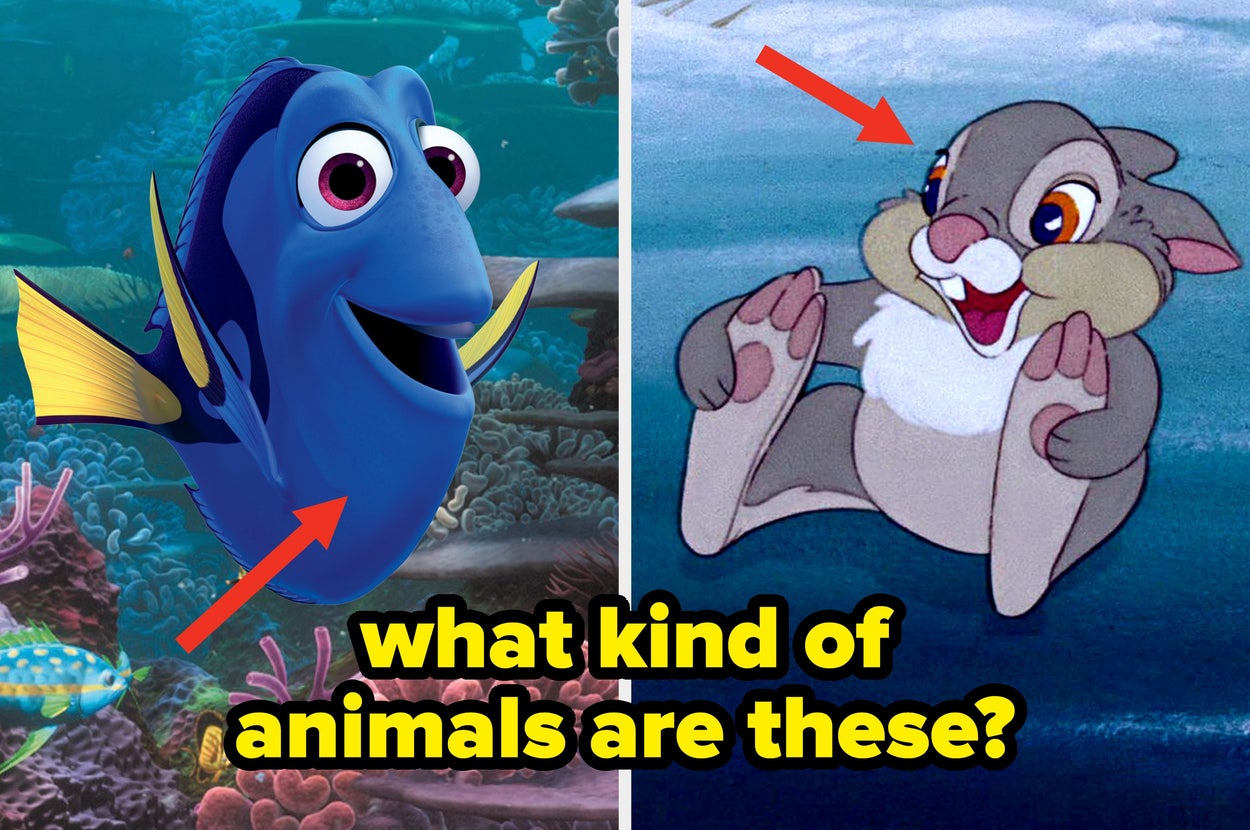 I Bet You Can't Correctly Name Which Real-Life Animal These Disney Characters Are Based On