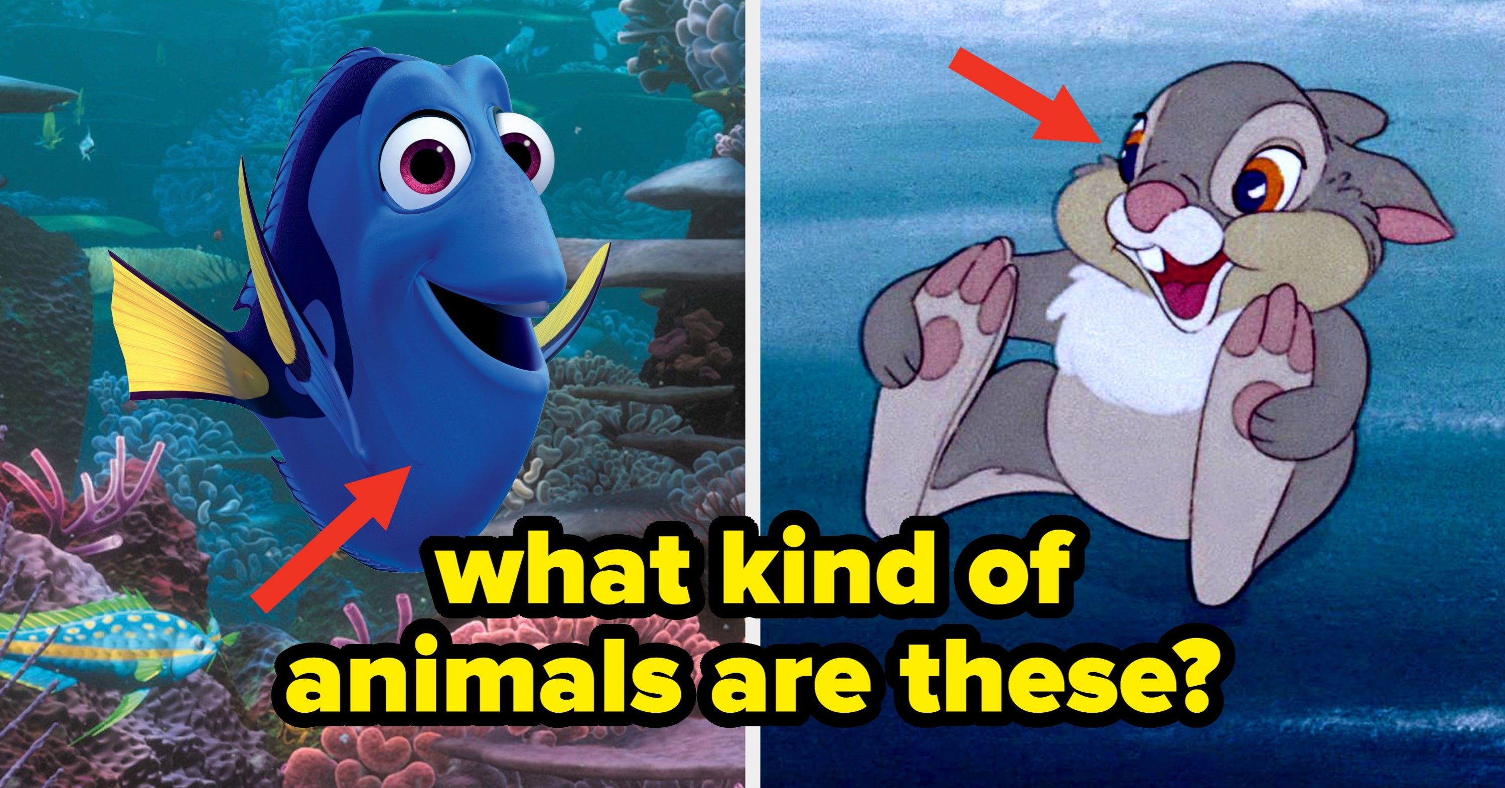 I Bet You Can't Correctly Name Which Real-Life Animal These Disney Characters Are Based On